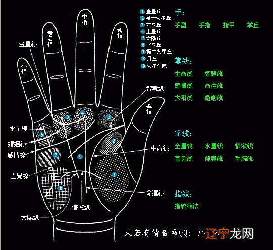 面相奥秘揭秘面相玄机破译面相密码(vcd)_面相学可靠吗_面相属于什么学