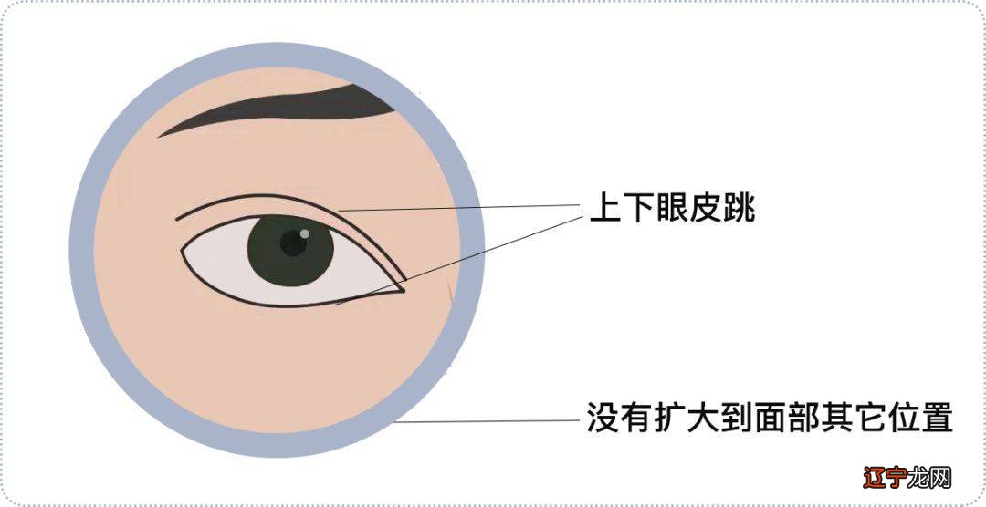 左眼皮一直跳是怎么回事_左眼皮一直跳是怎么办_今天左眼皮一直跳是怎么回事啊