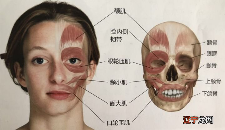 今天左眼皮一直跳是怎么回事啊_左眼皮一直跳是怎么办_左眼皮一直跳是怎么回事