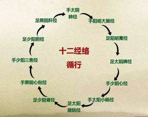 科技紫微星座运势网_属狗今年运势2021年运势_紫微看今年运势