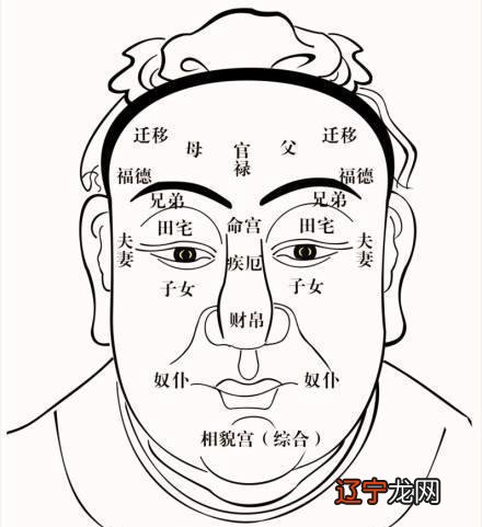 面相眉毛图解_男生眉毛面相图解大全_面相 眉毛 图解