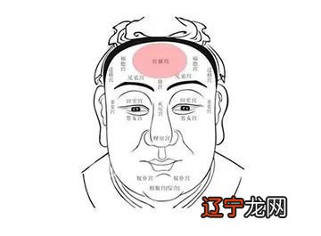 面相眉毛图解_面相 眉毛 图解_男生眉毛面相图解大全