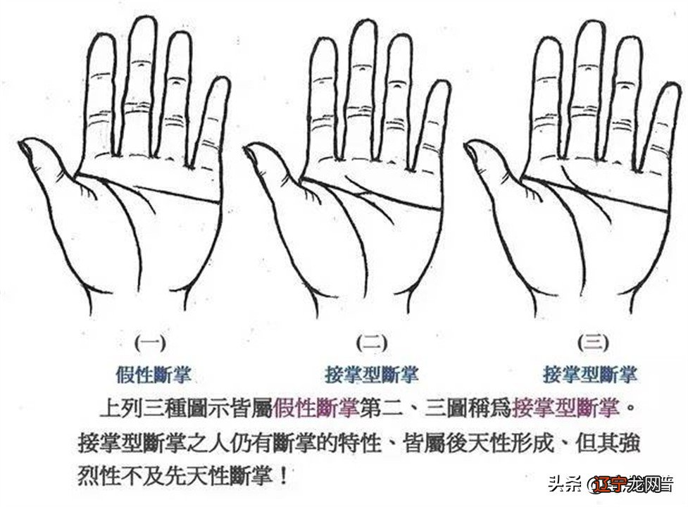 男儿断掌千斤两，女子断掌过房养？“断掌纹”到底有什么奥秘？