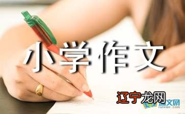 给家取一个好名字小学作文