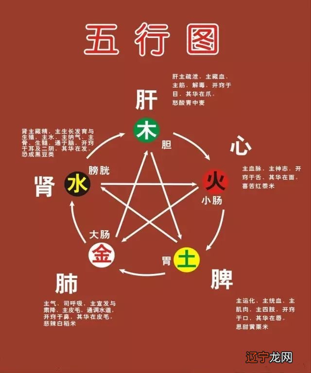 七是什么五行属什么生肖