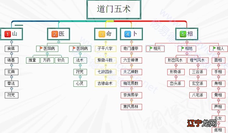 神秘的道家玄学五术：山医命相卜