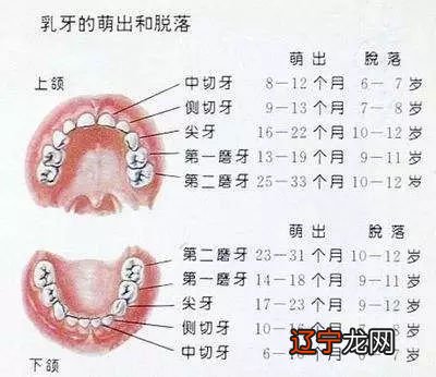 梦见掉牙齿是什么征兆_梦见牙齿掉光又长出新牙齿_梦见自己牙齿掉了