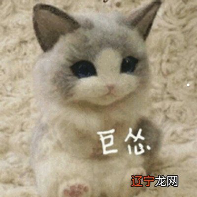 梦见自家猫咪吃自己身体