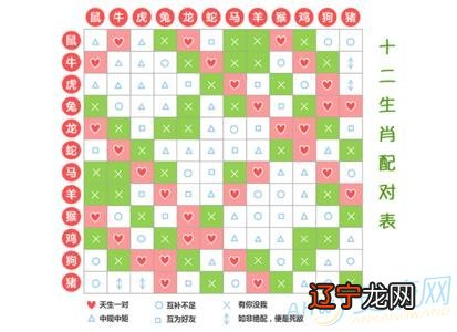 12生肖婚配属相配对查询_12生肖婚配属相配对查询_属相生肖配对姻缘查询狗配什么