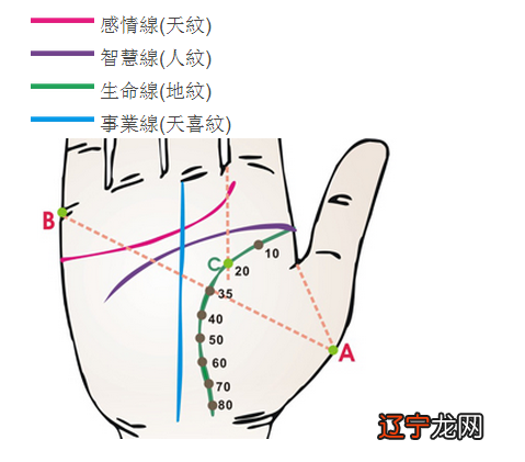 都有哪些命理