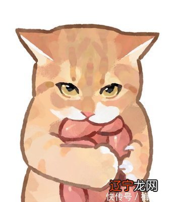 啥八字的男人喜欢养猫