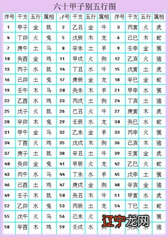 峥字五行属什么生肖