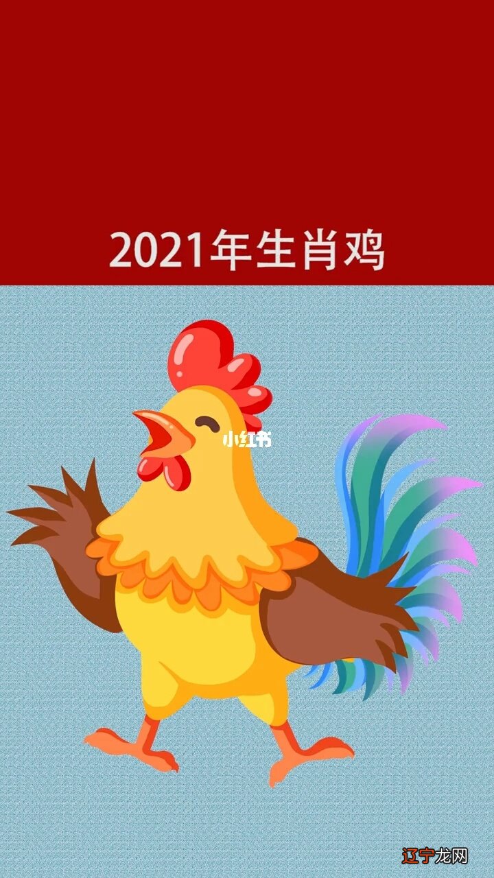 2015年运势12生肖运势_2015生肖鸡全年运势_属鸡十二生肖运势2015年