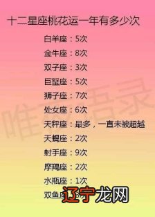 11月生肖属于什么星座