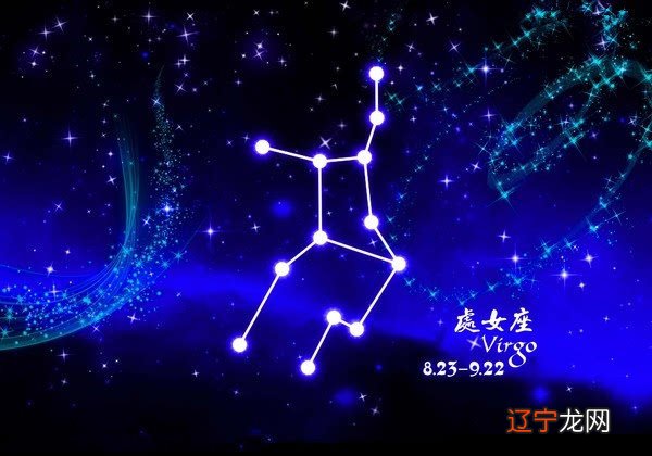 11月生肖属于什么星座