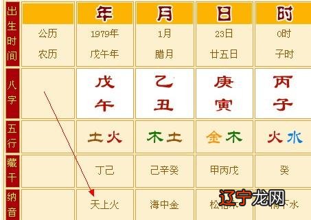 红字五行到底属什么生肖