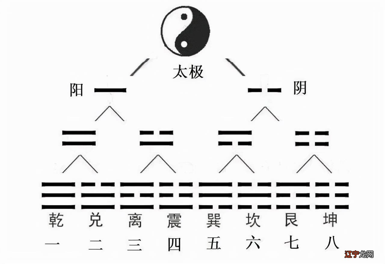 知其道者法于阴阳和于术数谁说的_那个数字是阴阳数_道,法,术