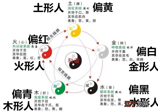 宋代桐木韩氏家族研究_宋代杜诗阐释学研究_宋代术数研究