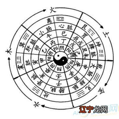 紫属五行属什么生肖_2013年属什么生肖五行_五行属金生肖属猪的吉字?