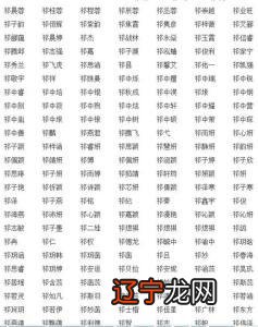 贤字前面用什么字取名好_男孩用浠字取名好吗_男孩用贤怎么取名字