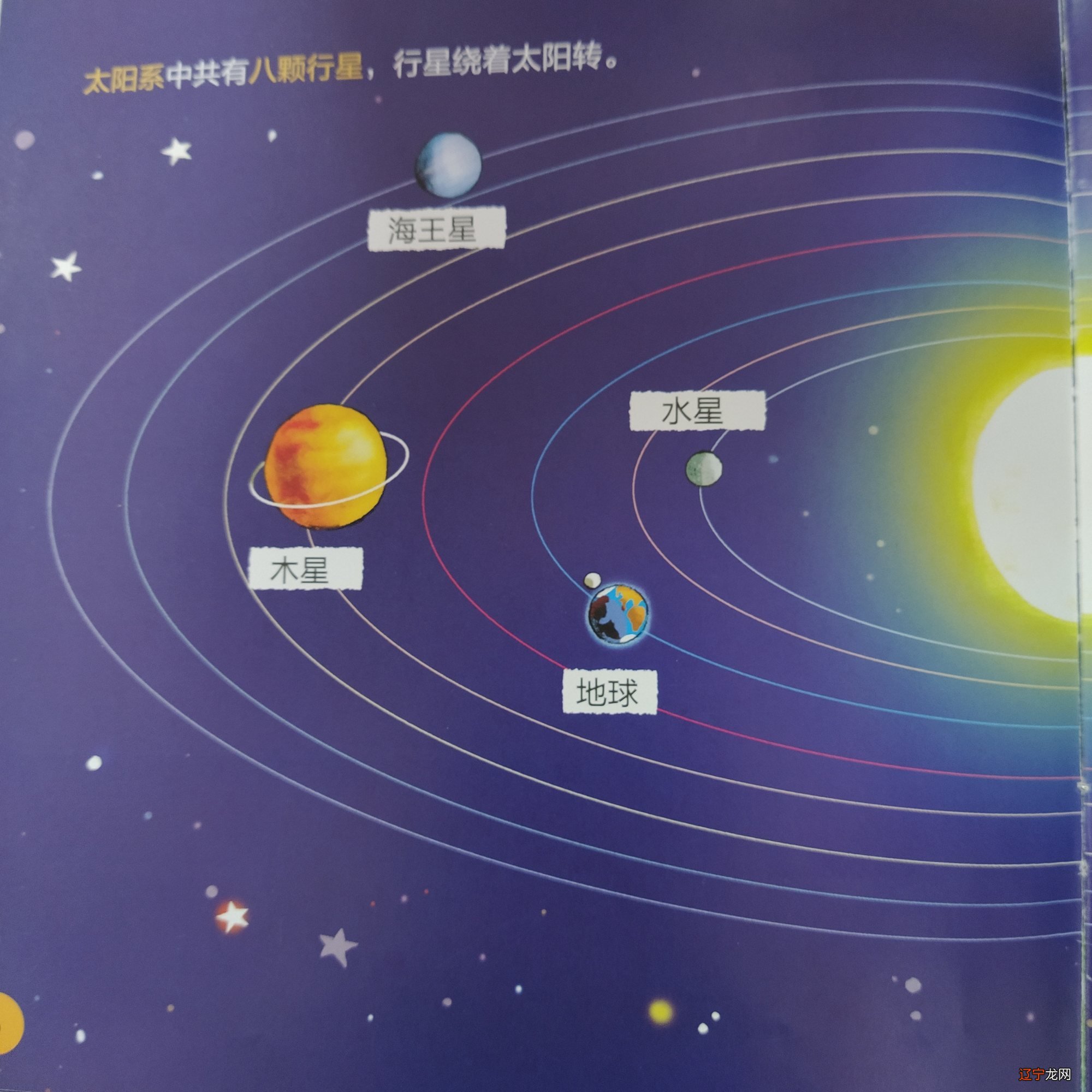 十二星座属于什么象座_星座火象水象_狮子座属于火象星座