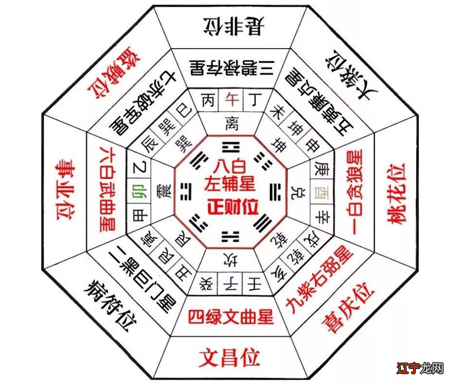 龟壳怎么占卜_巴西彩龟掉壳_四川扁壳草龟