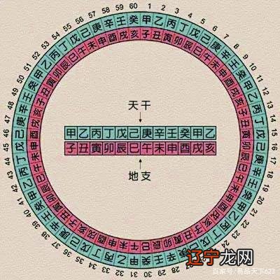 阴阳鬼探txt全文免费下载_阴阳鬼探有声小说_阴阳术数构系探奥