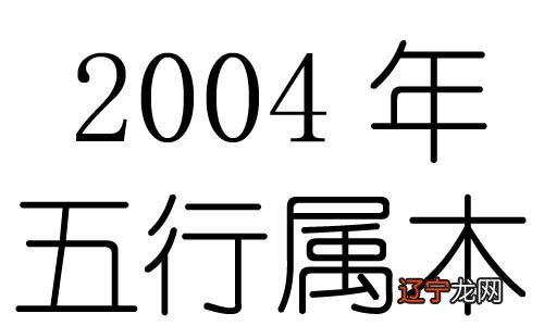 2004年五行属什么？2004年出生是什么命？