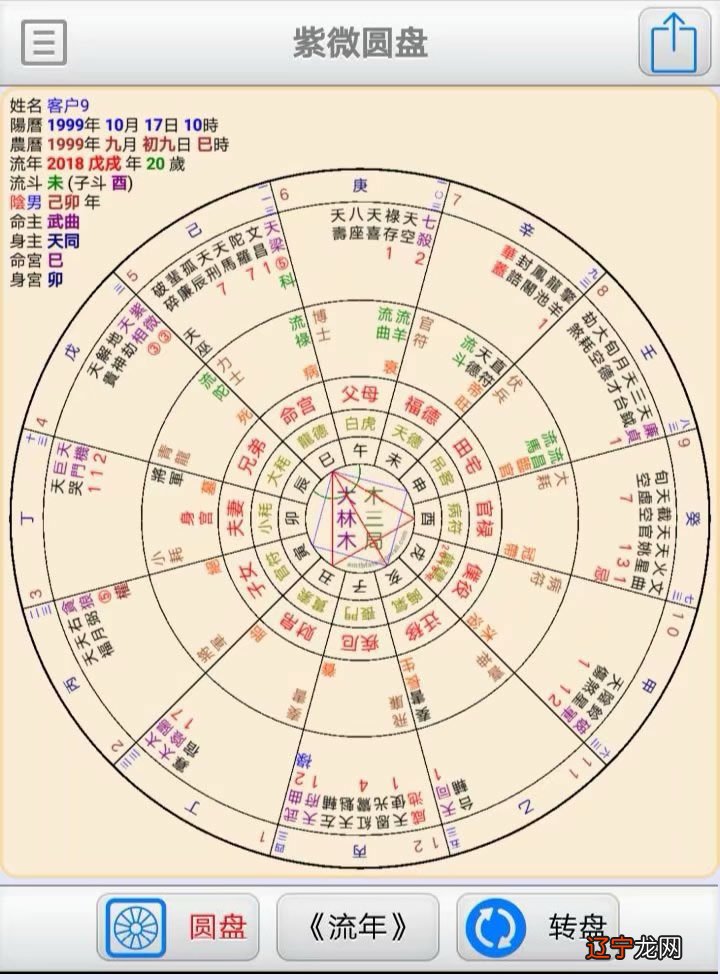 紫微流年命宫看2019年_紫微斗数流年运势怎么看_2018紫微看流年夫妻宫