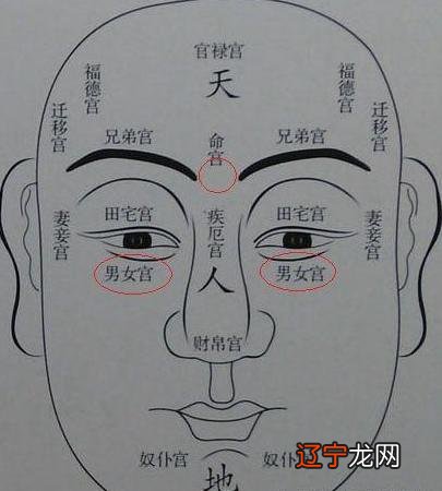 四柱命理基础知识_四柱学教程 徐丙昕_丙丁课堂四柱命理学