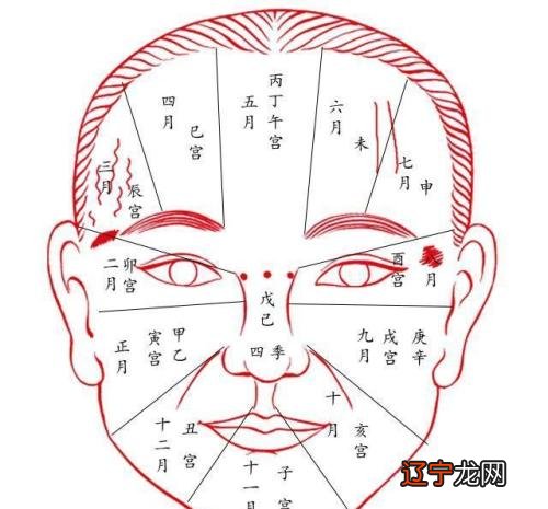 四柱命理基础知识_四柱学教程 徐丙昕_丙丁课堂四柱命理学