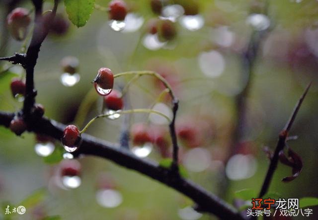 细论八字命理中的壬癸水（揭示壬癸水日主的成才、富贵因素）