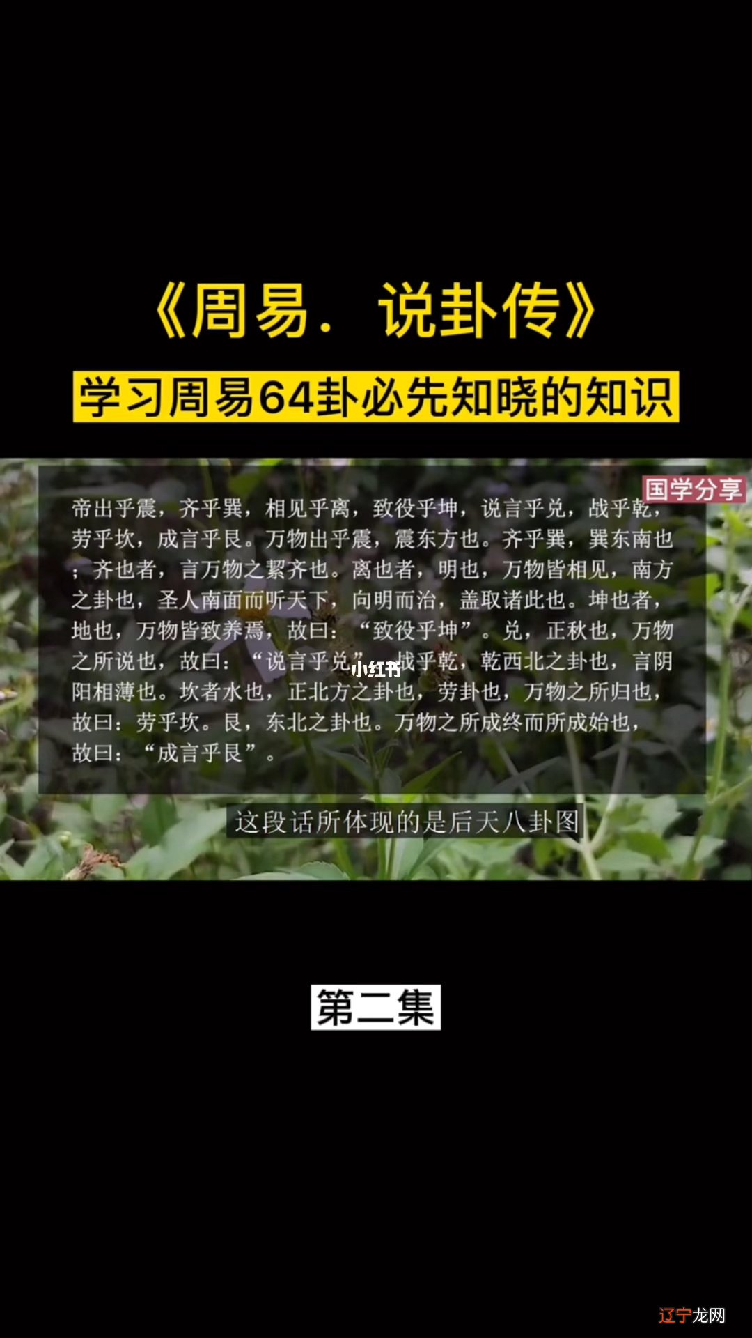 易学各种术数优缺点