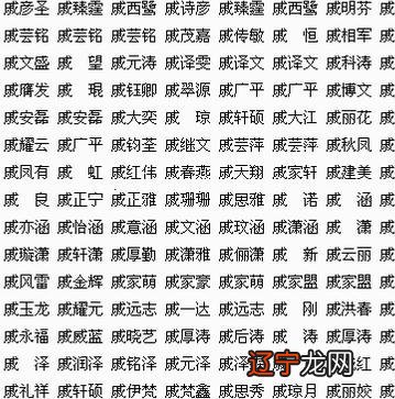 统字辈男孩取名大全