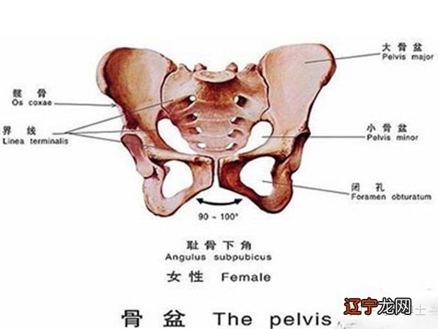 安胎风水学_鲫鱼安胎还是鲤鱼安胎_学风水得第一本书