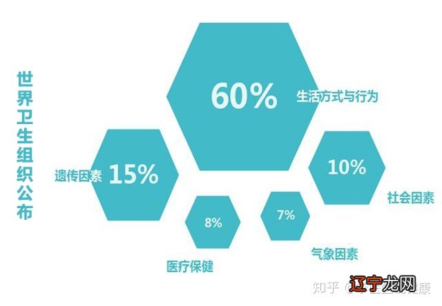 1977龙生肖五行属什么的