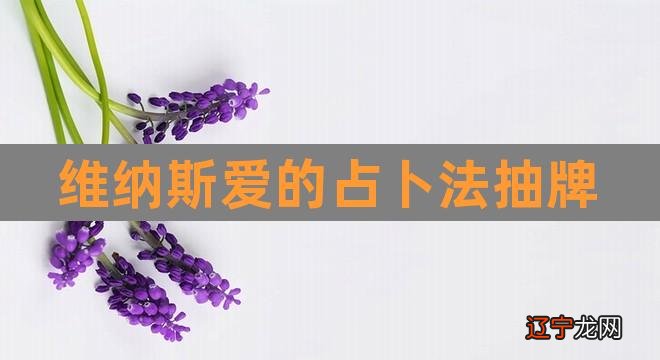 维纳斯爱的占卜法抽牌（塔罗牌阵维纳斯用小阿） 