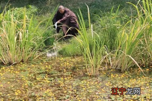 赖布衣风水故事之绝户之地，留下了许多神话般的传说