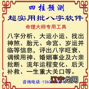 八字排盘南方周易苹果版