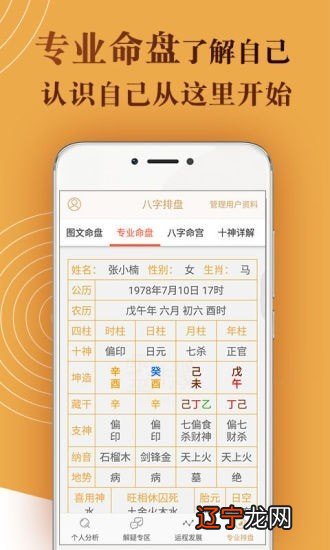 八字排盘南方周易苹果版