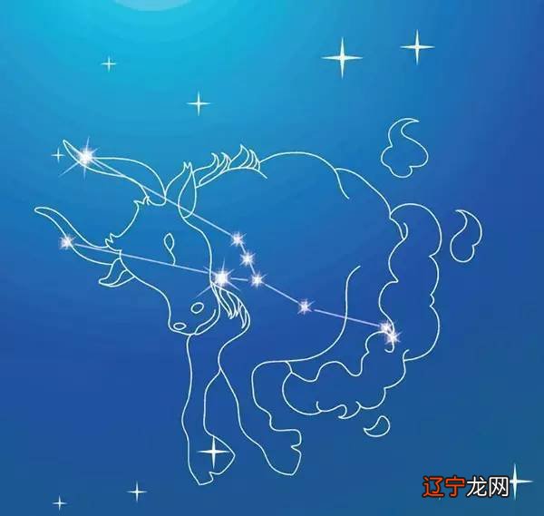 12星座分别是什么象星座_金牛座 象星座_星座火象水象风象哪些