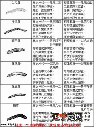 眉毛是人类特有的，眉毛在红楼梦里林黛玉的眉毛