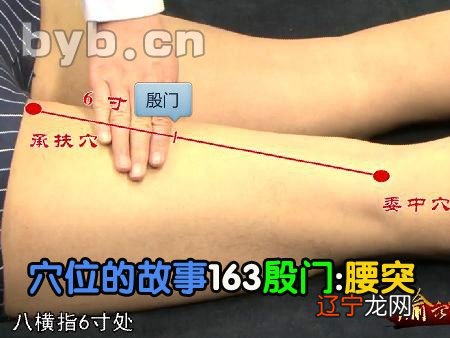 种生基改运培训_谢庭锋种生基_术数家种生基