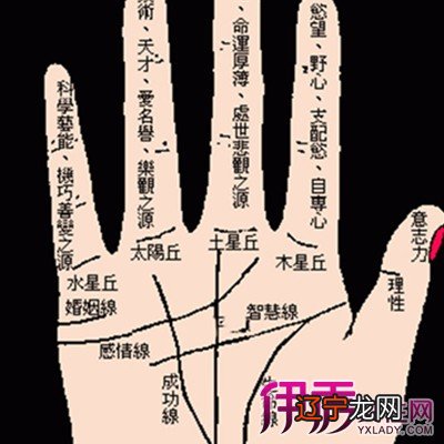 一 【李向东】手相解读你人生的贫富(图)