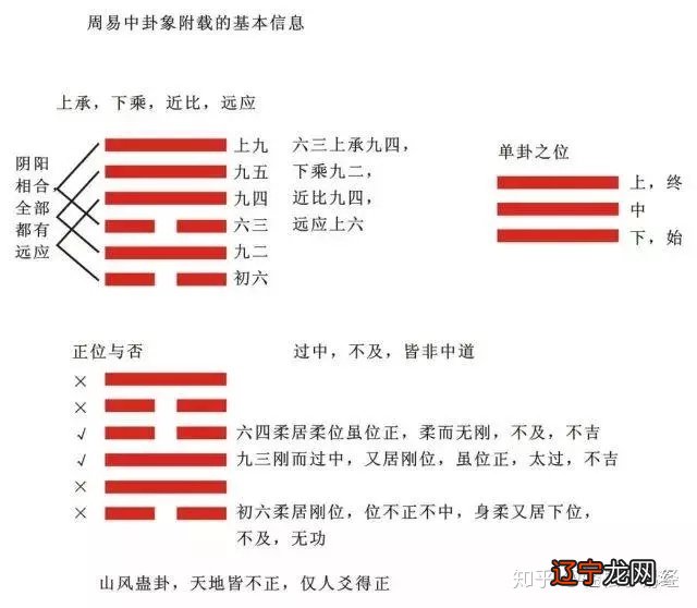 相学入门 知乎_心理学入门书籍推荐 知乎_摄影入门 知乎