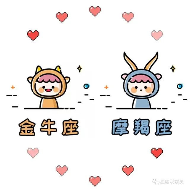 星座火象水象_风象星座的长相_星座有哪些象星座