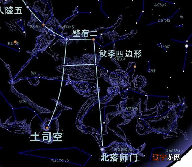 中国古代星相学术语_qq星儿童风味酸奶术语_中国手相学中的指纹分类