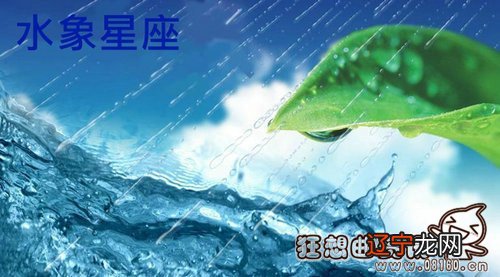 水象星座有什么特点?水象、巨蟹座、天蝎座和天蝎座