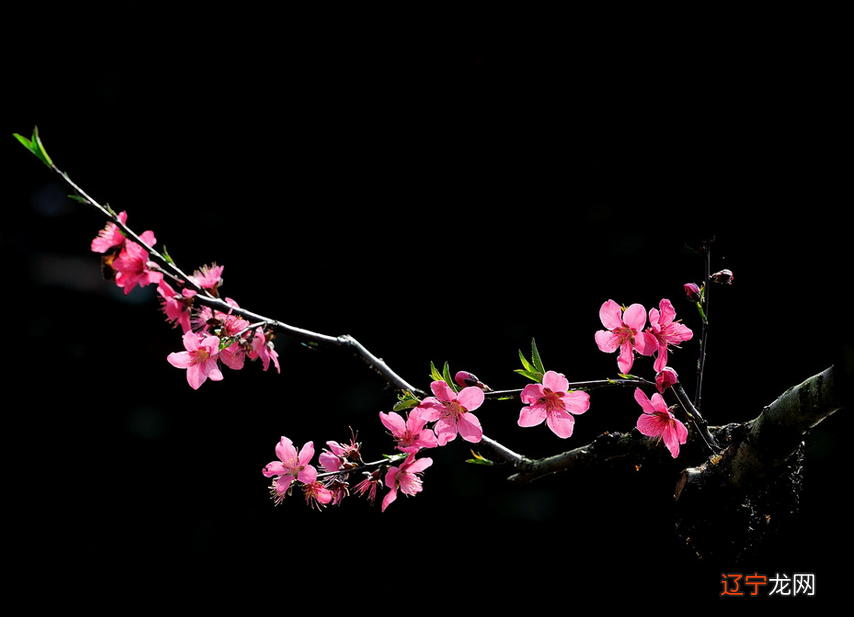 风水堂:怎么看自己的八字命格