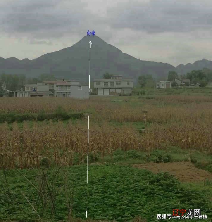 寻龙点穴 风水_地理风水寻龙点穴_风水学寻龙